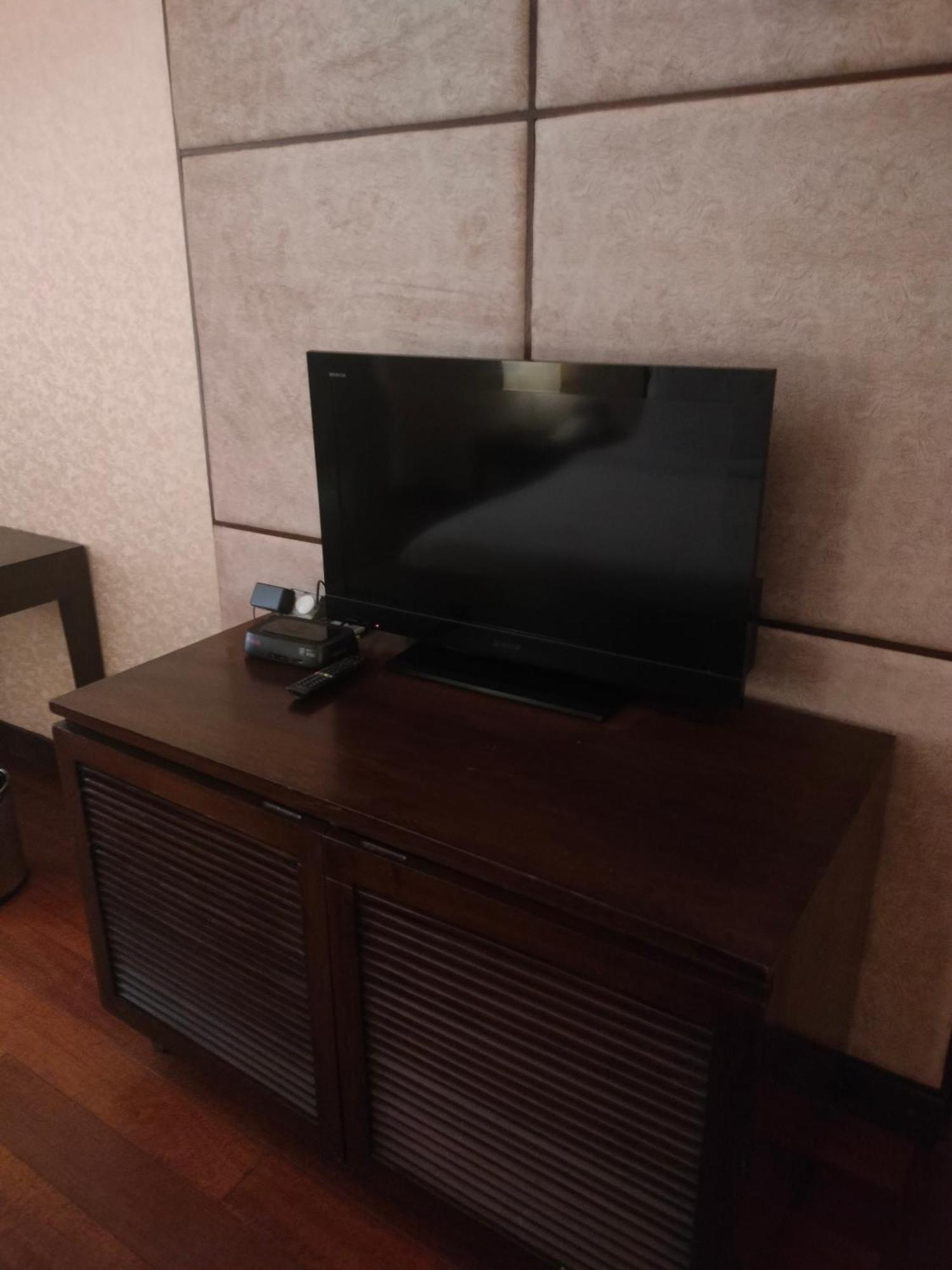 昌迪加尔潘切库拉假日酒店 外观 照片 A television set
